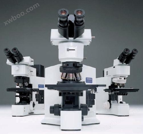 BX51/BX51M型研究级正置显微镜
