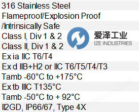 <strong><strong>TOPWORX阀门控制器DXS-L41GNEB</strong></strong> 爱泽工业 ize-industries.png