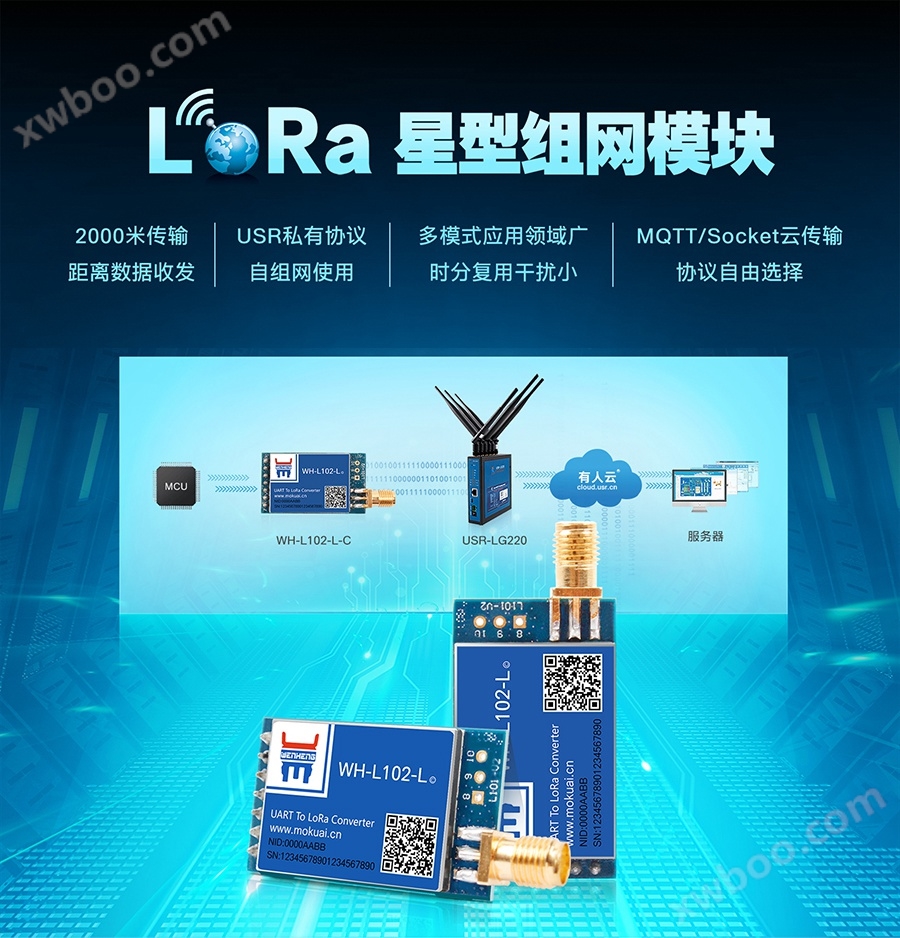 LoRa无线通讯系统低功耗模块_LoRa星形模块