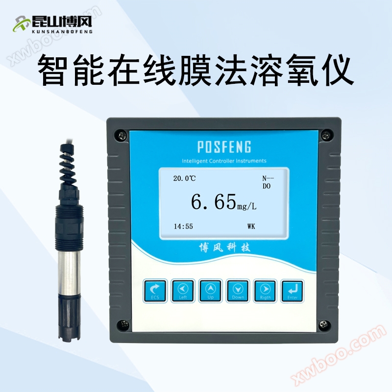 Ossigometro membrana online intelligente